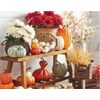 Fall Decorative Pumpkins & Containers by Ashland - 50% off