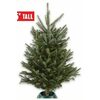 Elf Tree - $34.99