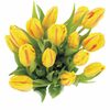 More Than a Dozen Tulips - $12.99